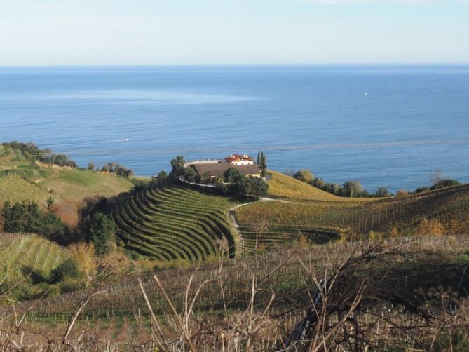 Bodega de txakoli : foto en Getaria Bodega de txakoli : foto en Getaria