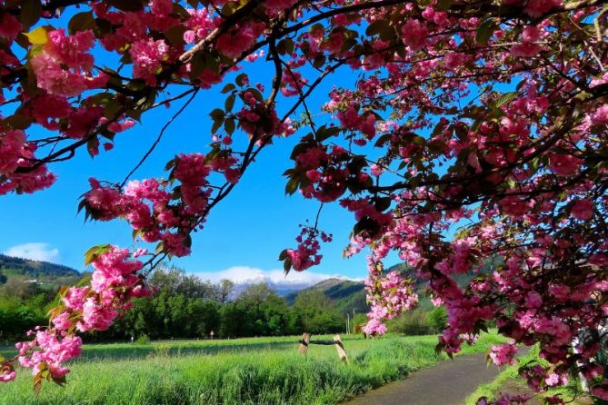 Camino a la primavera: foto en Segura Camino a la primavera: foto en Segura