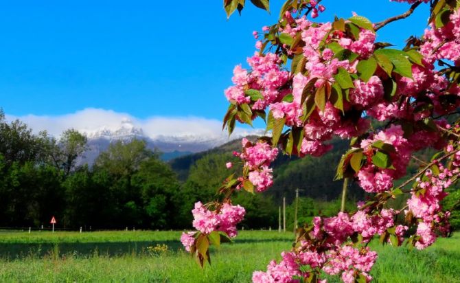 Contrastes primaverales.: foto en Segura Contrastes primaverales.: foto en Segura