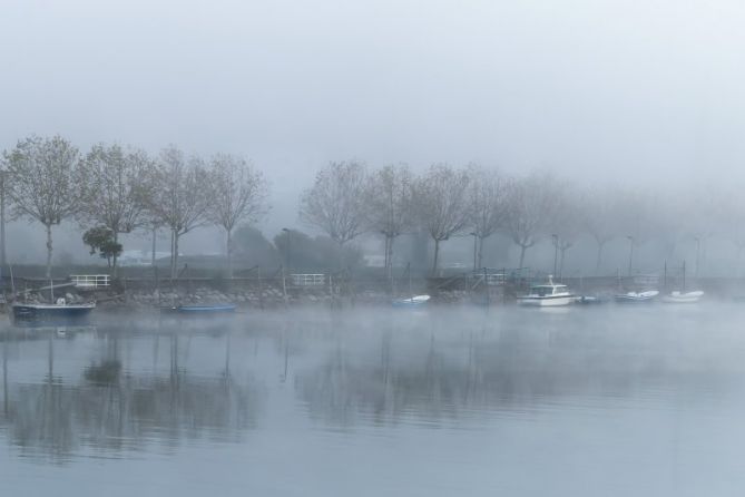 Dia de Niebla: foto en Orio Dia de Niebla: foto en Orio
