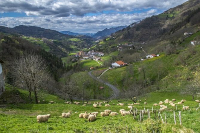 Esplendor en la hierba: foto en Errezil Esplendor en la hierba: foto en Errezil