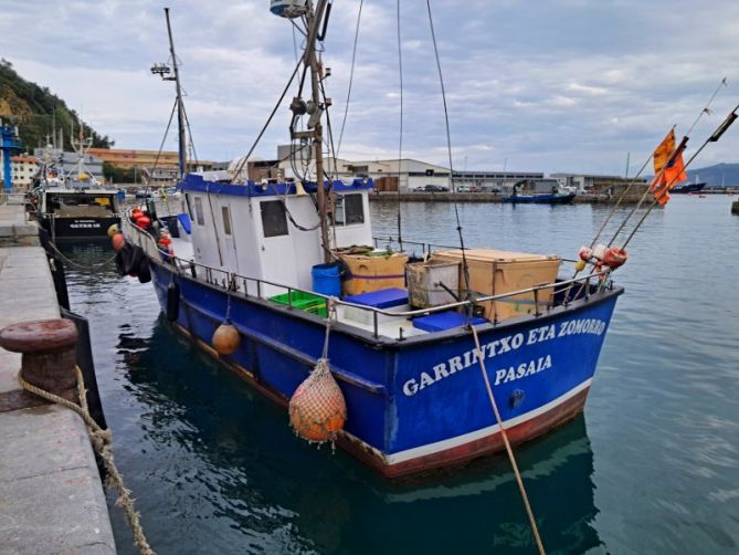 Garrintxo eta zomorro: foto en Getaria Garrintxo eta zomorro: foto en Getaria