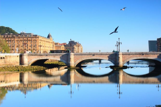 Gaviotas: foto en Donostia-San Sebastián Gaviotas: foto en Donostia-San Sebastián