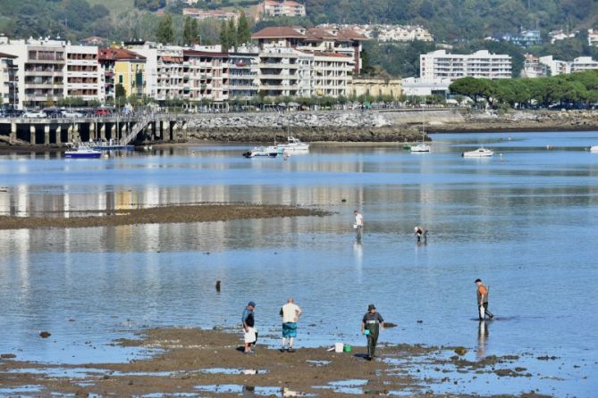 ITSASKIRATZEN - MARISQUEANDO: foto en Hondarribia ITSASKIRATZEN - MARISQUEANDO: foto en Hondarribia