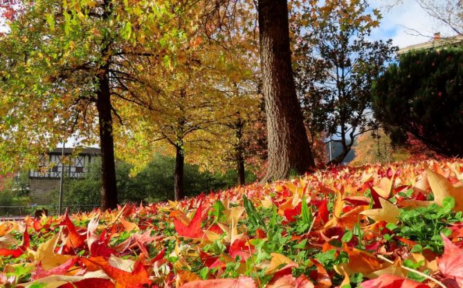 Otoño Beasaindarra: foto en Beasain Otoño Beasaindarra: foto en Beasain