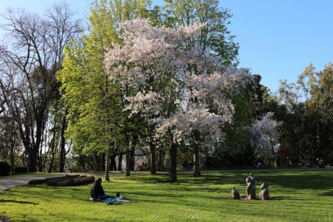 primavera: foto en Donostia-San Sebastián primavera: foto en Donostia-San Sebastián