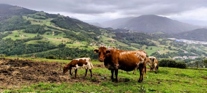 !Qué miras!: foto en Tolosa !Qué miras!: foto en Tolosa