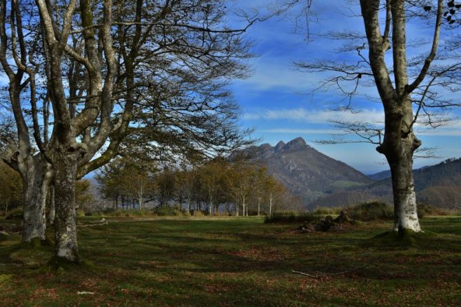 UDAZKENA - OTOÑO: foto en Oiartzun UDAZKENA - OTOÑO: foto en Oiartzun