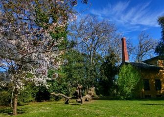 Llega la primavera