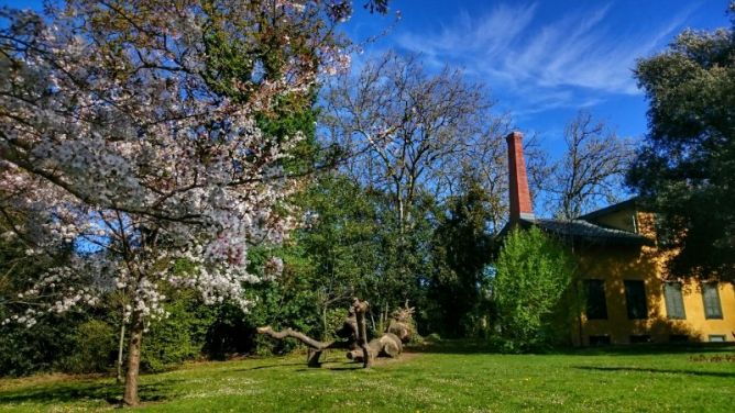 Llega la primavera: foto en Donostia-San Sebastián