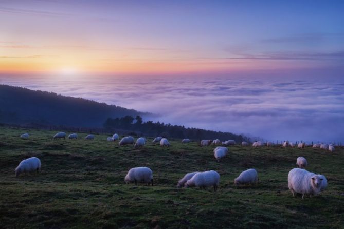 Mar de nubes.: foto en Hondarribia