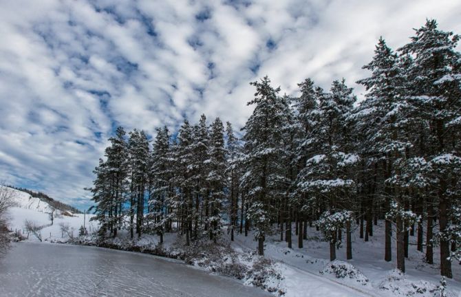 Aittolan elurra: foto en Azkoitia