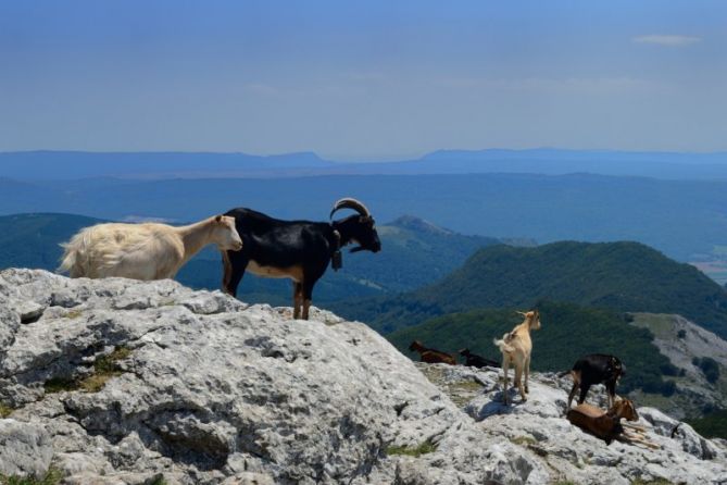 Aitzkorri: foto en Zegama