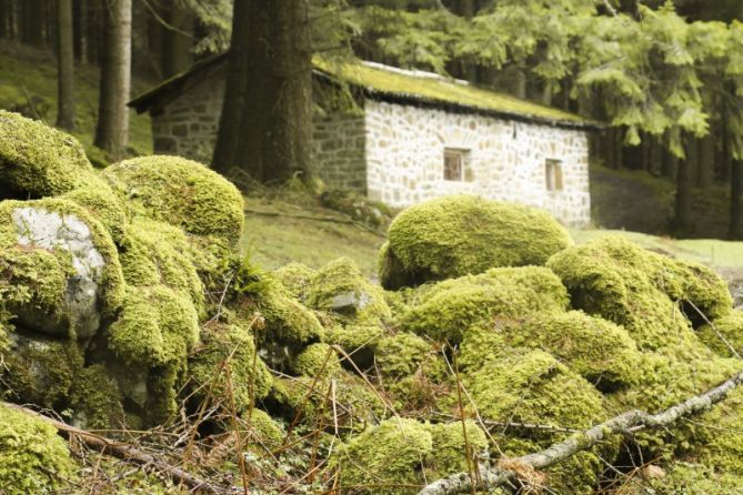 AIZKORRIPE: foto en Zegama