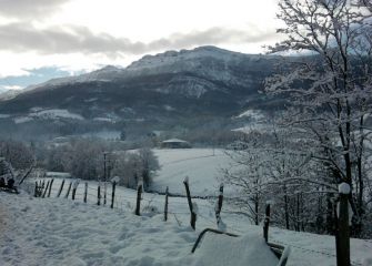 Aloña Mendi Elurretan