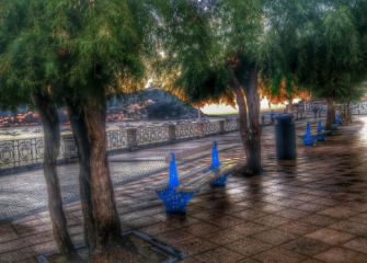 Amaneciendo