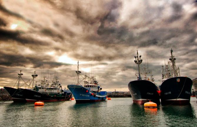 Amarrados: foto en Hondarribia