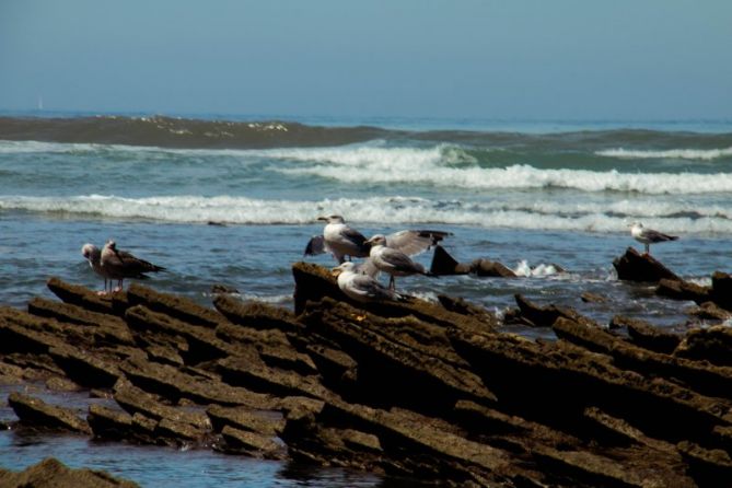 ANTXETAK: foto en Zumaia