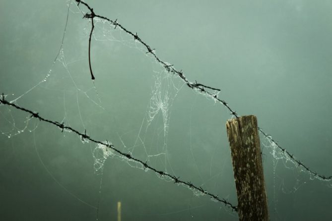 Apropiarse de fronteras: foto en Donostia-San Sebastián