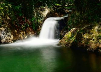 Artikutza