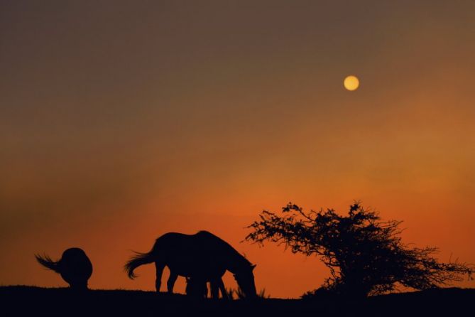 atardecer en gaztelu: foto en Zaldibia