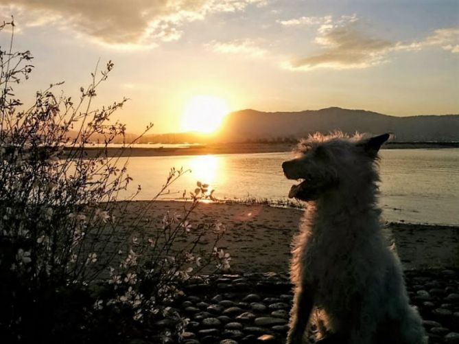 El Atardecer de Kira: foto en Irun