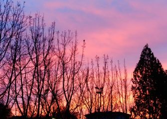 Atardecer rojizo