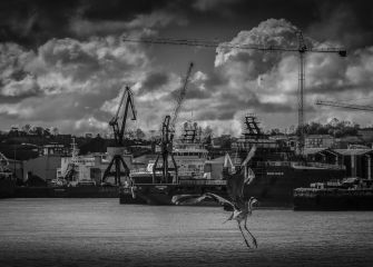 AVE LISTA PARA EMBARCAR