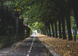 Bidegorri de otoño