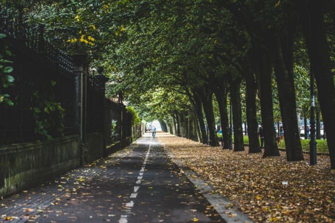 Bidegorri de otoño: foto en Donostia-San Sebastián