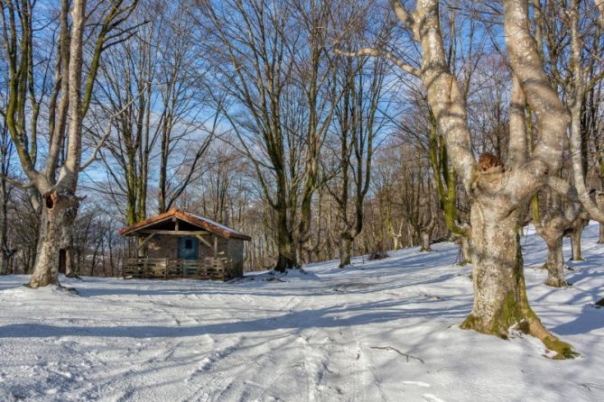 Borda de Oieleku: foto en Oiartzun