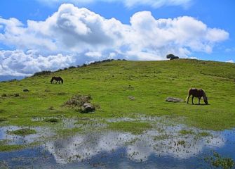 Caballos y nuebes