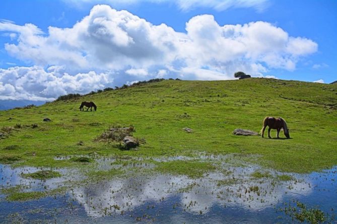 Caballos y nuebes: foto en Irun