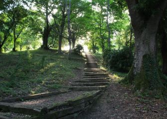 Caminando hacia la luz