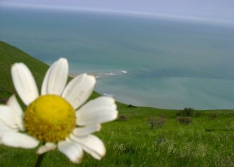 Caminando Zumaia -Deba