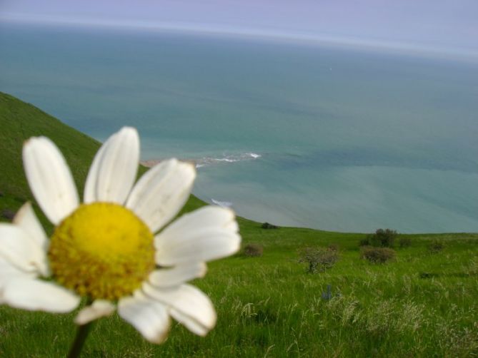 Caminando Zumaia -Deba: foto en Deba