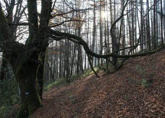 Camino hacia el monte de Murumendi