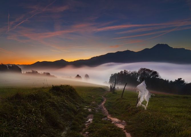 El camino hacia la niebla: foto en Tolosa