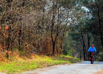 Camino de Mendiola-Ulía
