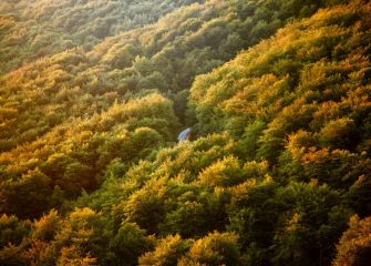 caminos de aizkorri en otoño