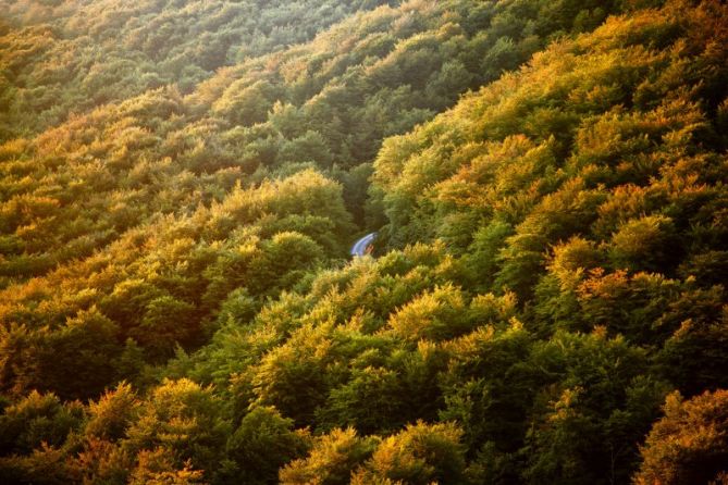 caminos de aizkorri en otoño: foto en Zegama