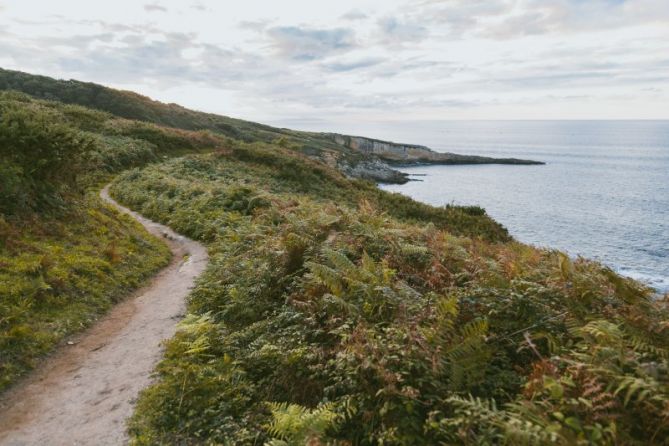 Caminos ala perdida: foto en Hondarribia