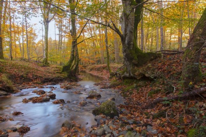 Casi un rio: foto en Berrobi