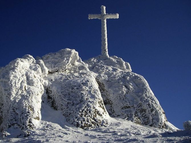 Cencellada.: foto en Arrasate-Mondragón