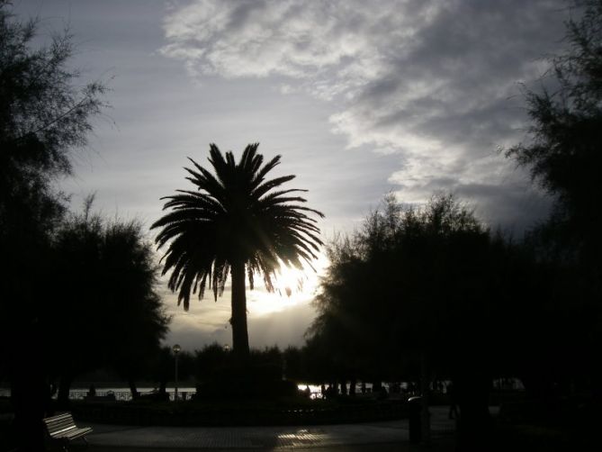 El centro del jardin: foto en Donostia-San Sebastián