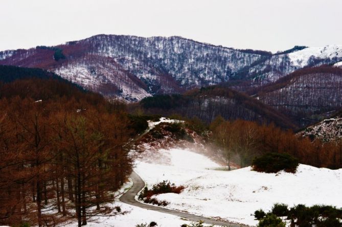 Colorido invierno: foto en Amezketa