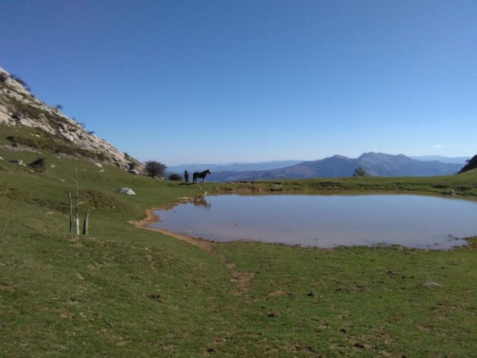 El descanso de los caballos: foto en Azpeitia