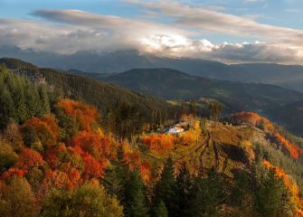 Desde el otoño 