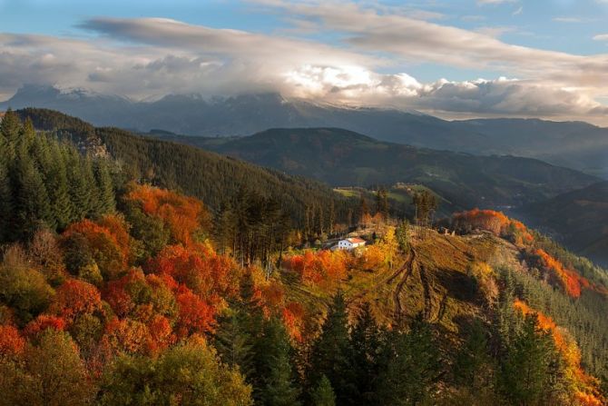 Desde el otoño : foto en Albiztur