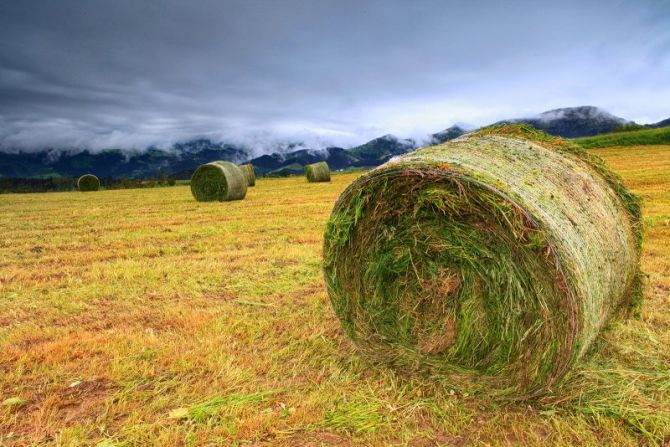 Elorrixa: foto en Deba